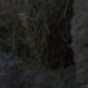 Meet your Posher, Rick